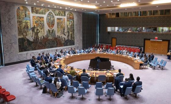 联合国安理会关于叙利亚局势会议的全景图。
